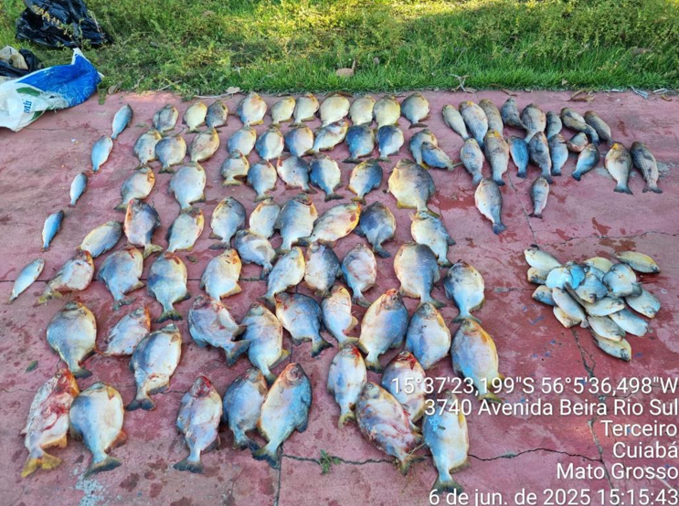 Homem � preso por transporte ilegal de pescado e embriaguez ao volante em Cuiab�