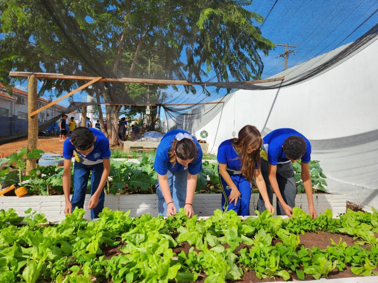 Escola Estadual Jada Torres incentiva alimenta��o saud�vel e aprendizado pr�tico com horta escolar