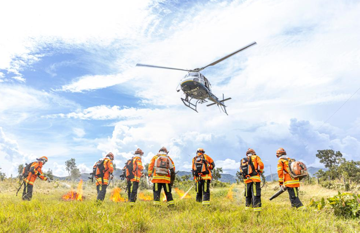 ForestFire apresenta programa��o com especialistas de 10 pa�ses e feira de tecnologias