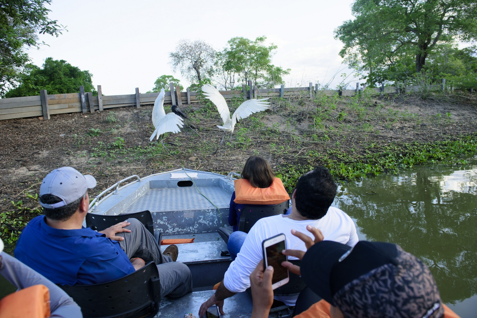 Dia do Turista: ecoturismo transforma viajantes em aliados da conserva��o em Mato Grosso