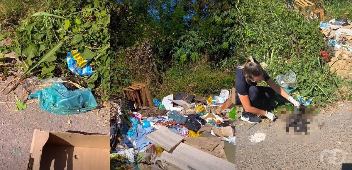 Mulher � presa em Cuiab� suspeita de zoofilia e morte de animais adotados