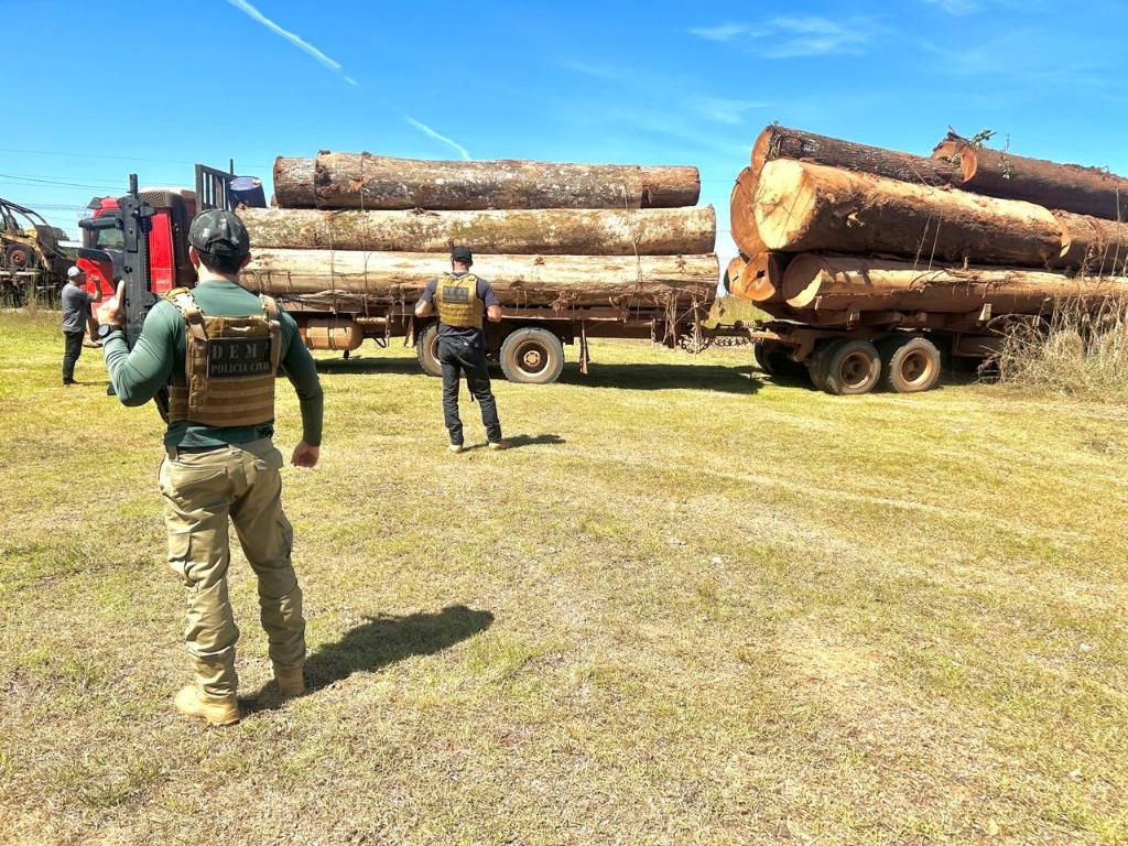 Pol�cia Civil apreende caminh�es carregados de madeira em mais uma fase de opera��o contra desmatamento em Ju�na