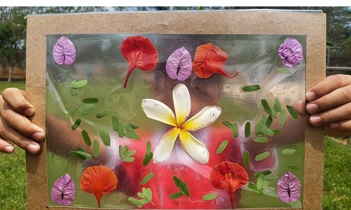 Crian�as e clima: programa aposta em escolas mais verdes para enfrentar emerg�ncias ambientais