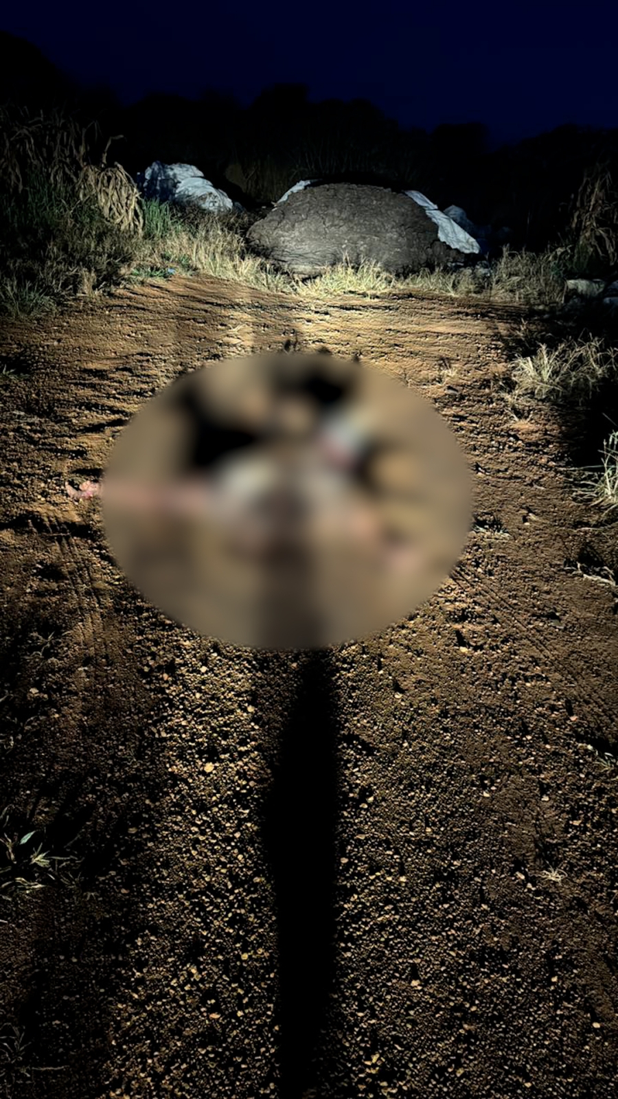 Homem sequestrado � encontrado morto em milharal na regi�o de MT-242