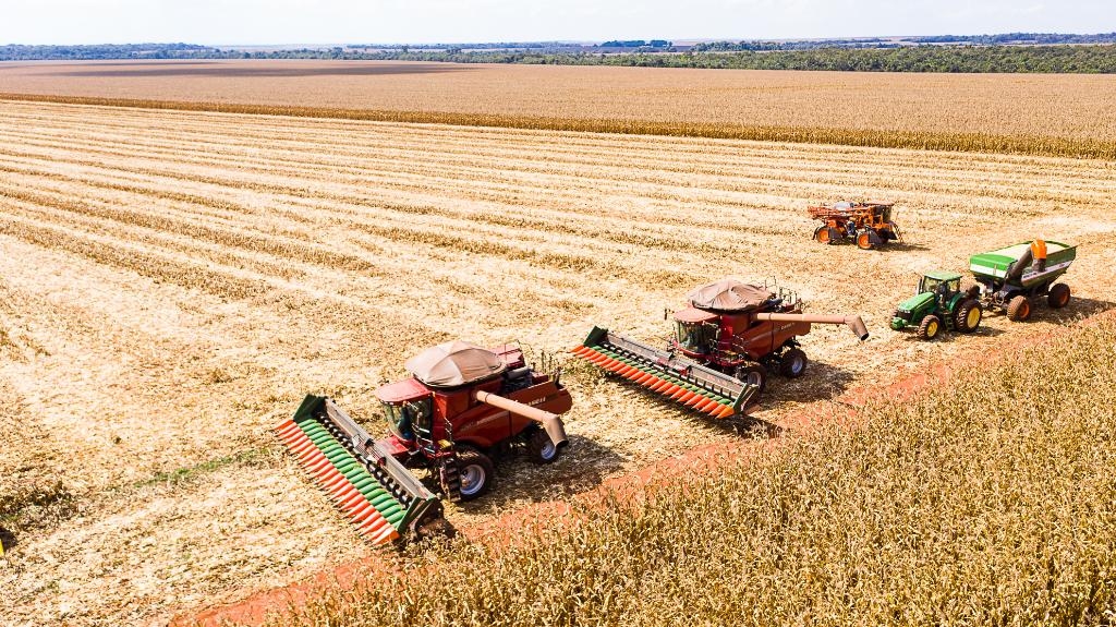 Mato Grosso inicia colheita de milho com produ��o estimada em 50,3 milh�es de toneladas