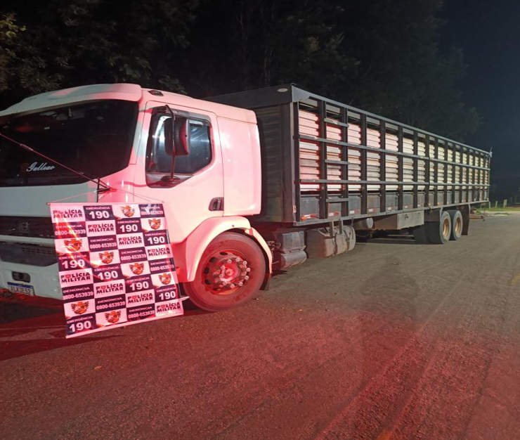 Pol�cia Militar recupera carga de 20 novilhas furtadas em Juscimeira