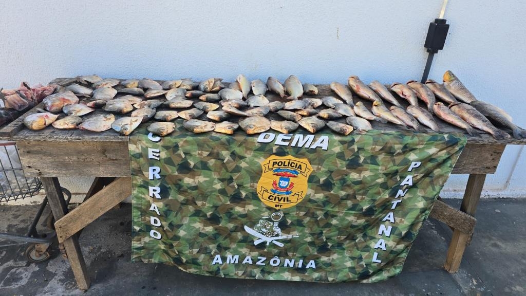 Pol�cia Civil apreende 72 unidades de pescado armazenados em uma resid�ncia em Cuiab�
