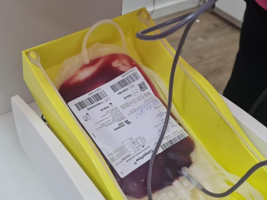 MT Hemocentro atende mais de 500 pacientes com a doen�a falciforme