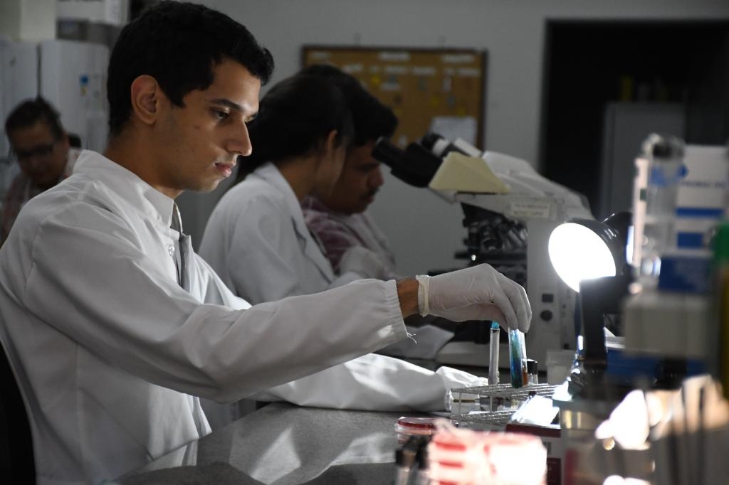 Pesquisadores desenvolvem sistema r�pido para diagn�stico da resist�ncia � antibi�ticos