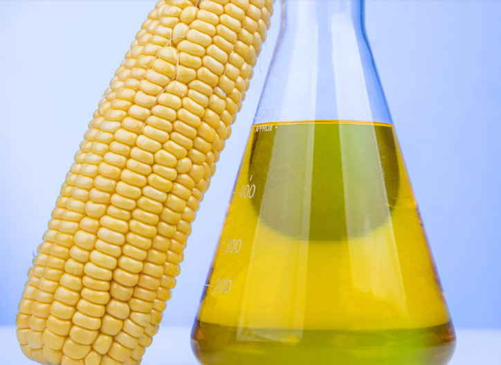 Etanol de milho avan�a no Brasil e transforma a cadeia produtiva do agro