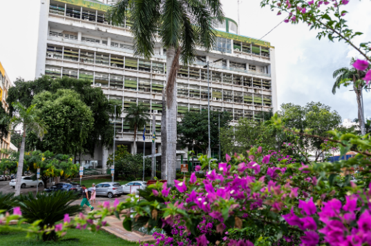 Cuiab� sedia workshop sobre Pangasius com foco em inova��o e sustentabilidade na piscicultura