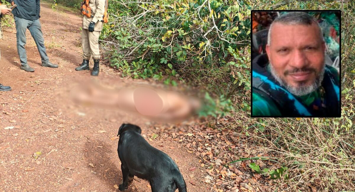 Homem desaparecido � encontrado morto em �rea de mata na BR-070