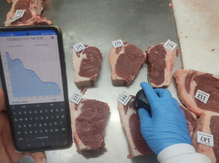 Pesquisa finaliza prot�tipo para avalia��o da qualidade e maciez da carne bovina em tempo real com uso de IA