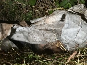 Corpos s�o achados dentro de sacos pl�sticos em mata no bairro Pedra 90