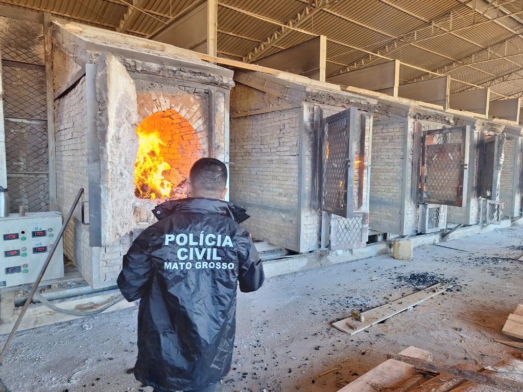 Pol�cia Civil incinera 150 quilos de drogas apreendidas em Lucas do Rio Verde