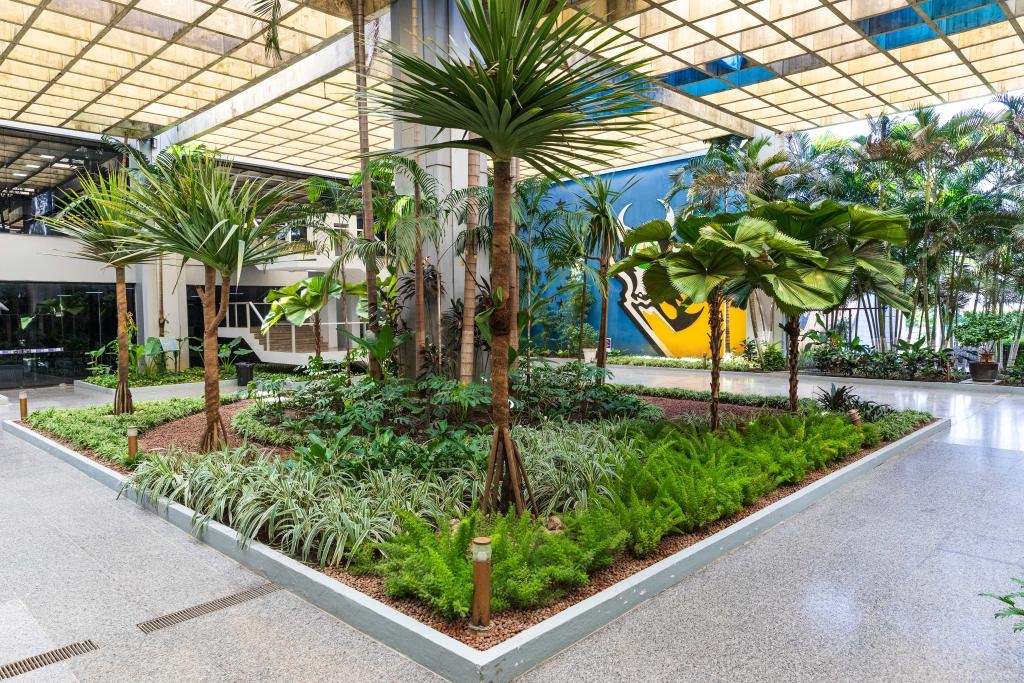 Evento em Cuiab� vai discutir desafios e solu��es para agenda clim�tica no setor agr�cola