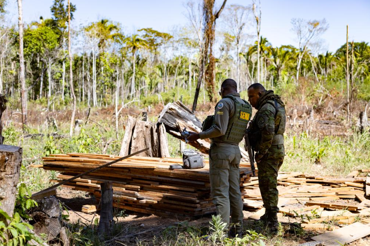 Sema deflagra 127 opera��es contra crimes ambientais e aplica R$ 1,3 bilh�o em multas no primeiro semestre de 2025