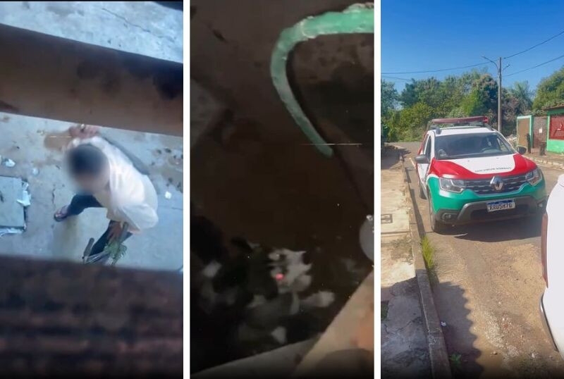 Cachorro v�tima de maus-tratos � resgatado em V�rzea Grande ap�s den�ncia de vizinhos