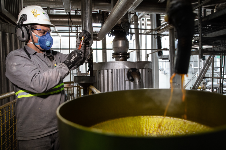 Cuiab� est� entre as capitais com maior propor��o de empregos verdes do Brasil