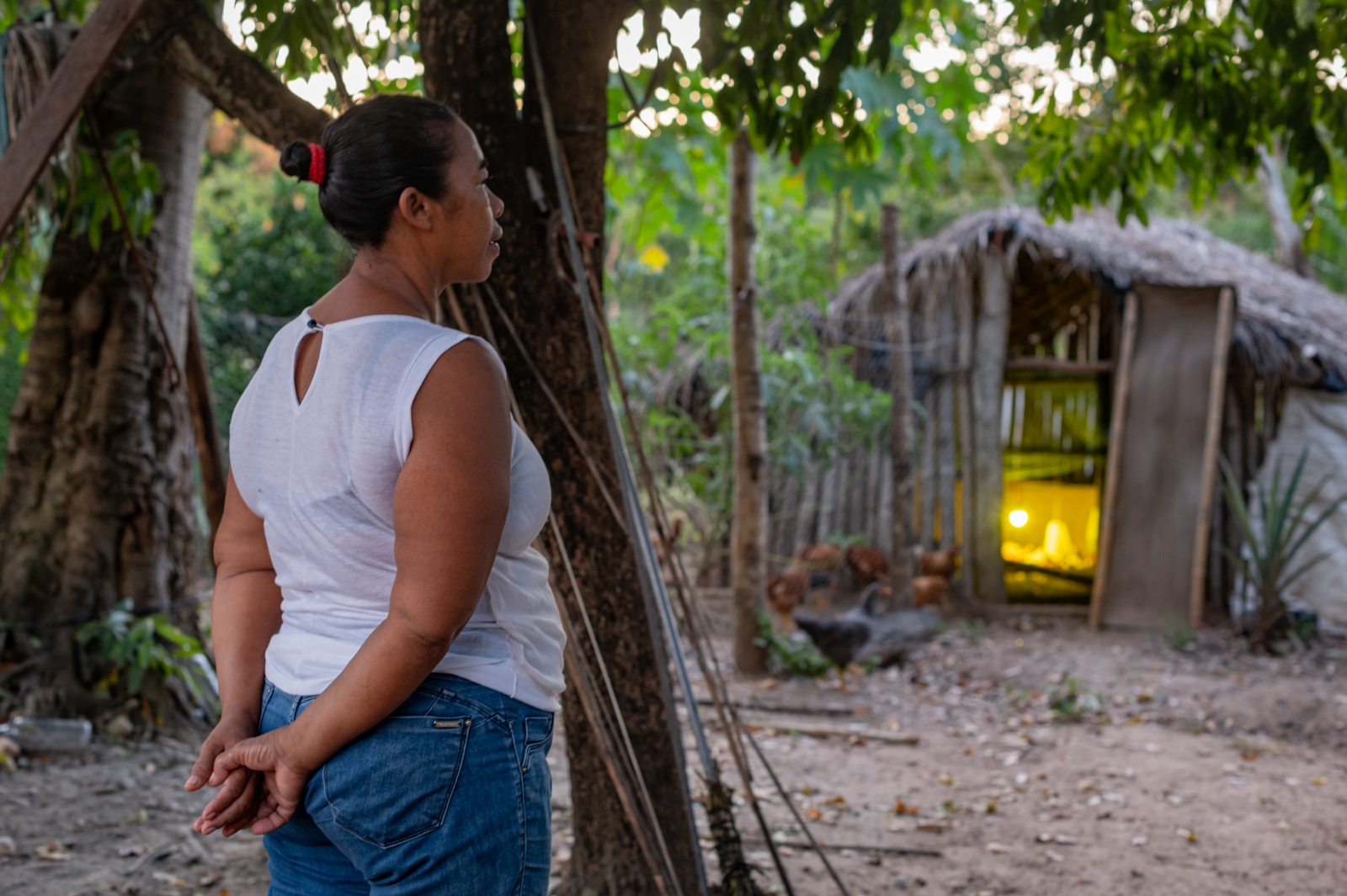 Governo de Mato Grosso abre edital de sele��o para agricultores familiares acessarem recursos do FUNDAAF